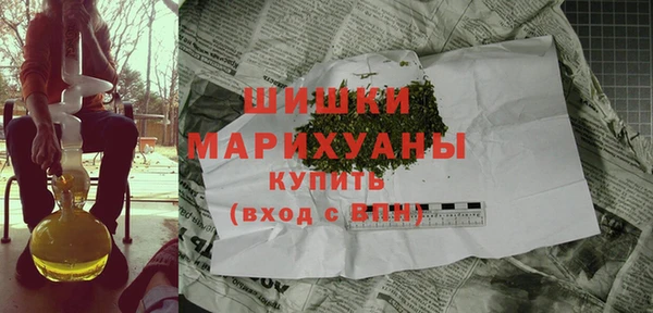 индика Остров