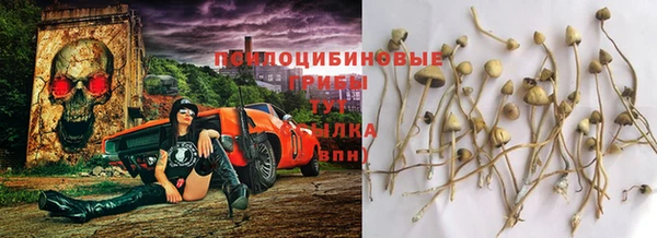 ГАЛЛЮЦИНОГЕННЫЕ ГРИБЫ Алексеевка