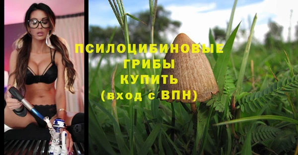 ГАЛЛЮЦИНОГЕННЫЕ ГРИБЫ Алексеевка
