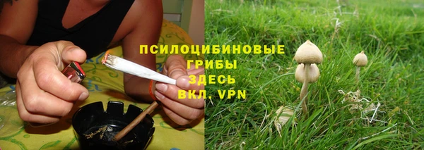 ALPHA-PVP Осинники